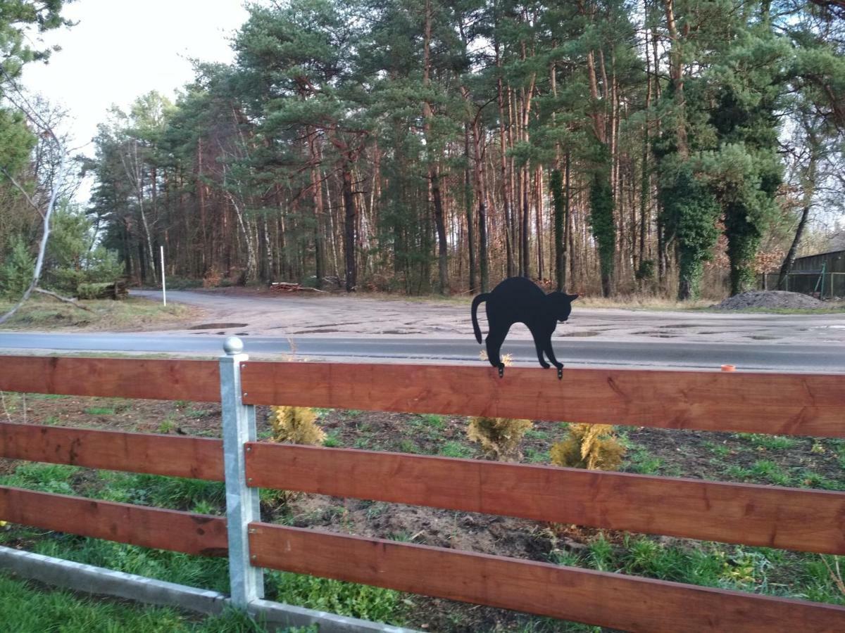Koci Grzbiet Agroturystyka Dzierzazno Wielkie 외부 사진