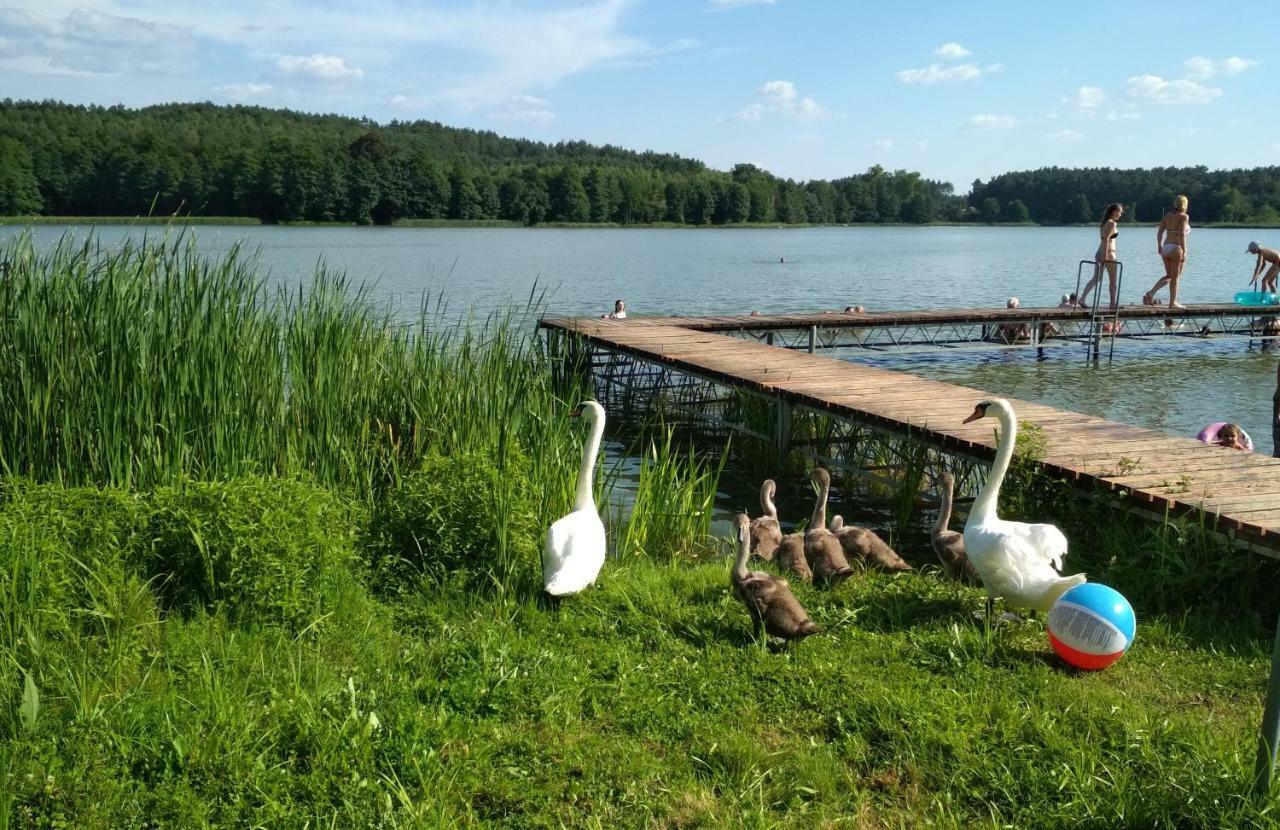 Koci Grzbiet Agroturystyka Dzierzazno Wielkie 외부 사진